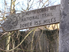 North Downs Way Farnham - 3